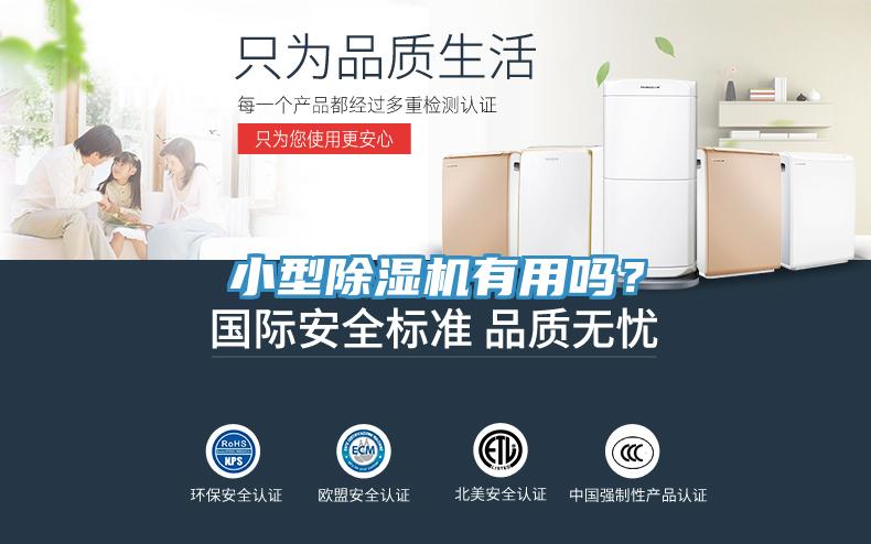 小型除濕機有用嗎？