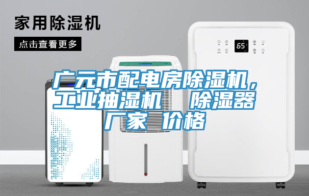 廣元市配電房除濕機(jī)，工業(yè)抽濕機(jī)  除濕器廠家 價(jià)格