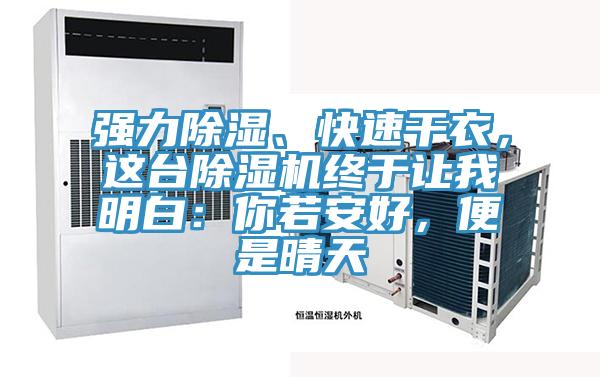 強(qiáng)力除濕、快速干衣，這臺(tái)除濕機(jī)終于讓我明白：你若安好，便是晴天