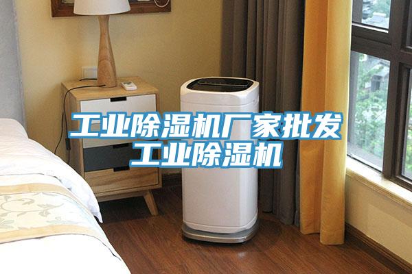 工業(yè)除濕機(jī)廠(chǎng)家批發(fā)工業(yè)除濕機(jī)