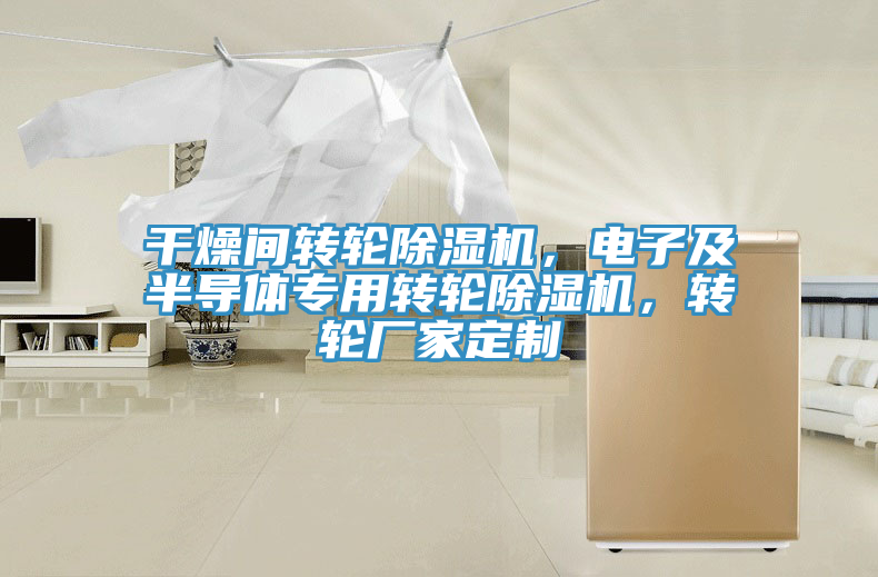 干燥間轉輪除濕機，電子及半導體專用轉輪除濕機，轉輪廠家定制