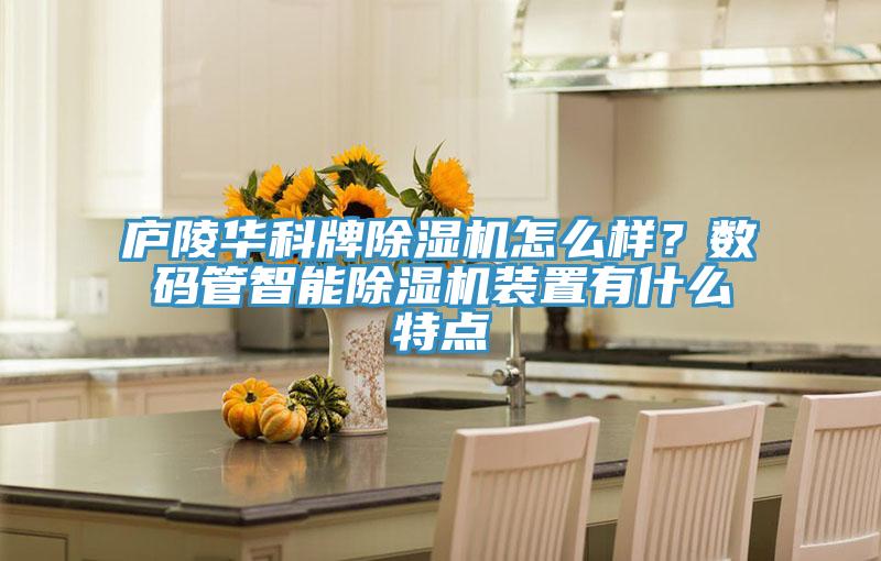廬陵華科牌除濕機怎么樣？數(shù)碼管智能除濕機裝置有什么特點