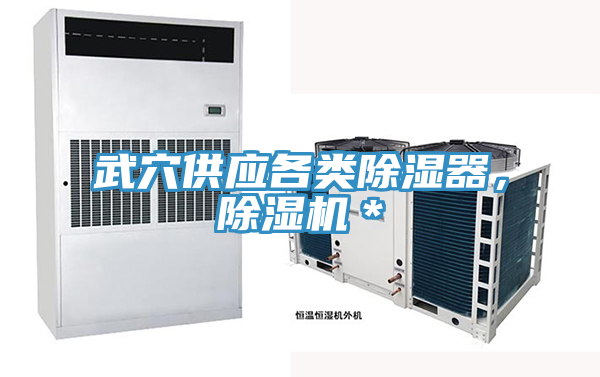 武穴供應(yīng)各類除濕器，除濕機(jī)＊