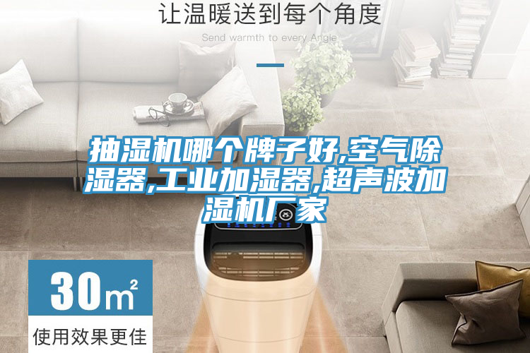 抽濕機(jī)哪個牌子好,空氣除濕器,工業(yè)加濕器,超聲波加濕機(jī)廠家