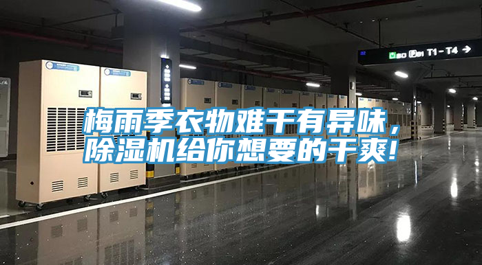 梅雨季衣物難干有異味，除濕機給你想要的干爽!