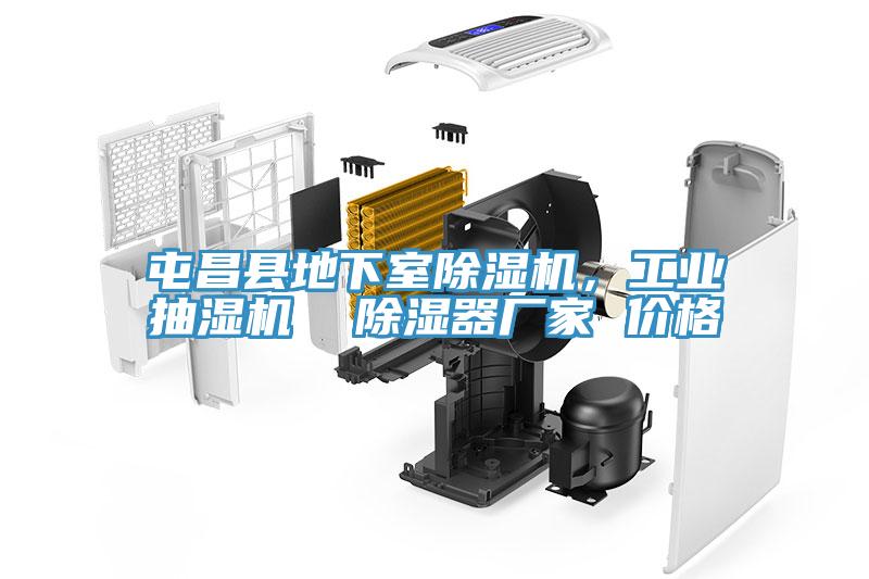屯昌縣地下室除濕機(jī)，工業(yè)抽濕機(jī)  除濕器廠(chǎng)家 價(jià)格