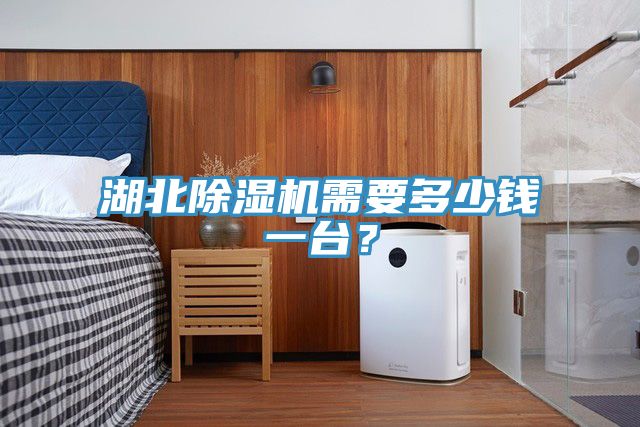 湖北除濕機(jī)需要多少錢(qián)一臺(tái)？