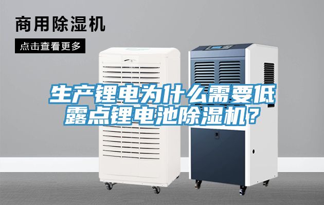 生產(chǎn)鋰電為什么需要低露點(diǎn)鋰電池除濕機(jī)？