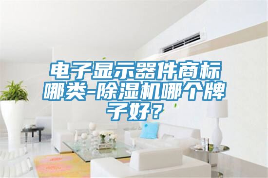 電子顯示器件商標(biāo)哪類-除濕機(jī)哪個(gè)牌子好？
