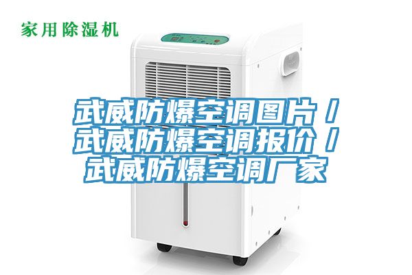武威防爆空調(diào)圖片／武威防爆空調(diào)報(bào)價(jià)／武威防爆空調(diào)廠(chǎng)家