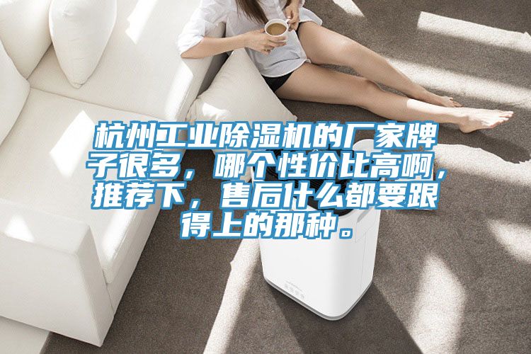 杭州工業(yè)除濕機的廠家牌子很多，哪個性價比高啊，推薦下，售后什么都要跟得上的那種。