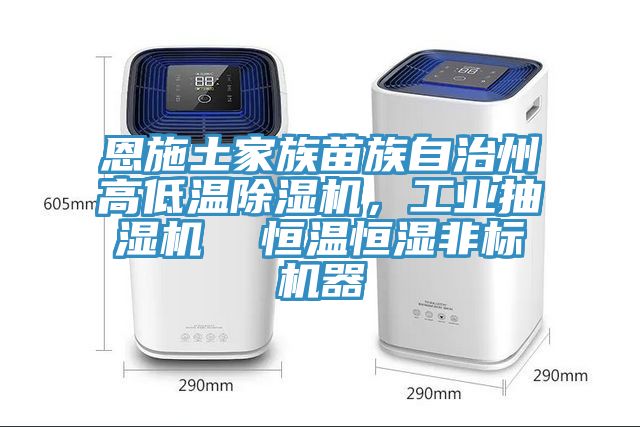 恩施土家族苗族自治州高低溫除濕機，工業(yè)抽濕機  恒溫恒濕非標(biāo)機器