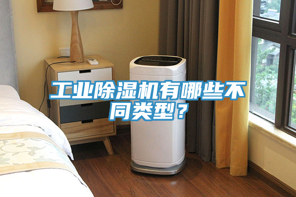 工業(yè)除濕機(jī)有哪些不同類型？