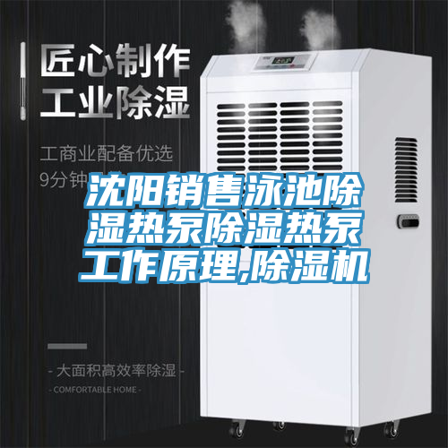 沈陽銷售泳池除濕熱泵除濕熱泵工作原理,除濕機(jī)