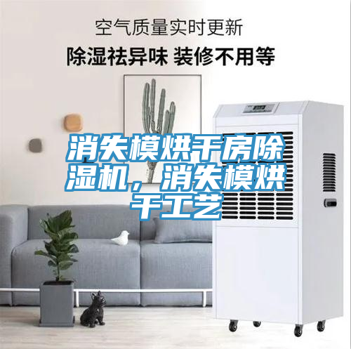 消失模烘干房除濕機(jī)，消失模烘干工藝