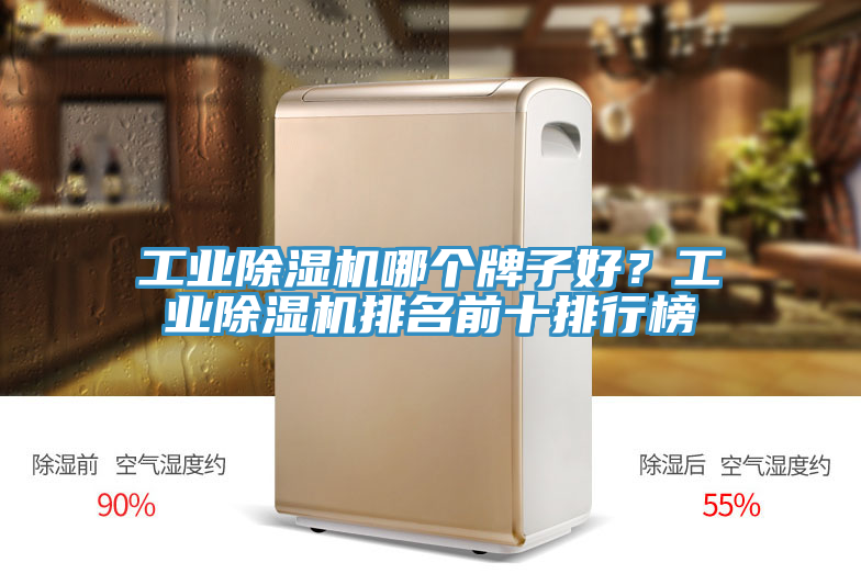 工業(yè)除濕機哪個牌子好？工業(yè)除濕機排名前十排行榜