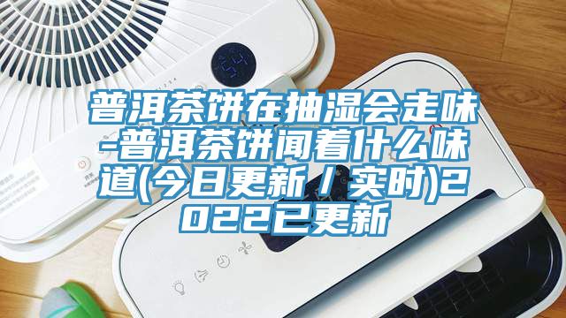 普洱茶餅在抽濕會走味-普洱茶餅聞著什么味道(今日更新／實(shí)時(shí))2022已更新