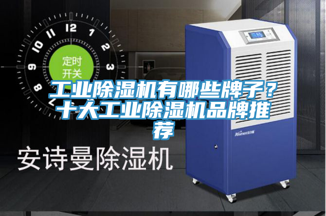 工業(yè)除濕機(jī)有哪些牌子？十大工業(yè)除濕機(jī)品牌推薦