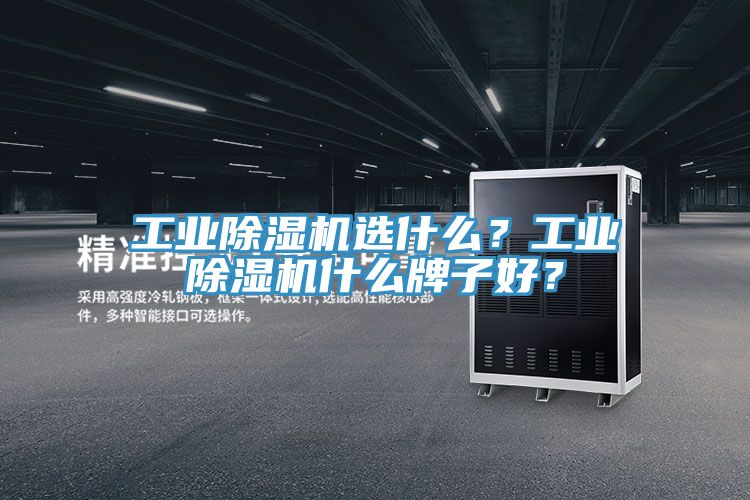 工業(yè)除濕機(jī)選什么？工業(yè)除濕機(jī)什么牌子好？