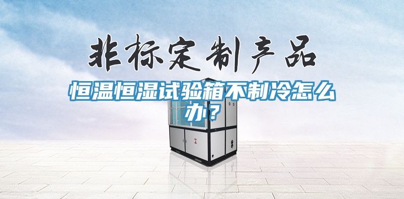 恒溫恒濕試驗(yàn)箱不制冷怎么辦？