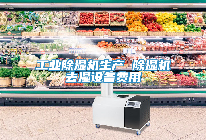 工業(yè)除濕機生產(chǎn) 除濕機去濕設備費用