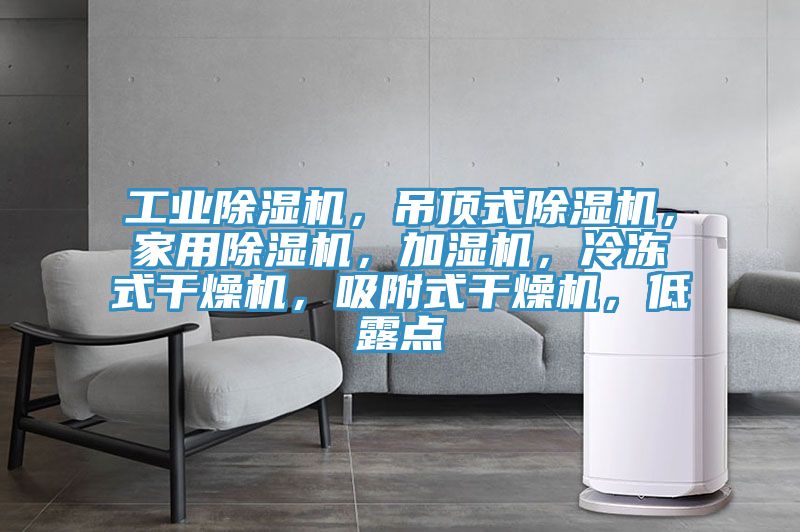 工業(yè)除濕機(jī)，吊頂式除濕機(jī)，家用除濕機(jī)，加濕機(jī)，冷凍式干燥機(jī)，吸附式干燥機(jī)，低露點(diǎn)