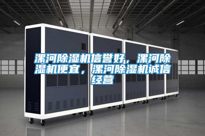 漯河除濕機(jī)信譽(yù)好，漯河除濕機(jī)便宜，漯河除濕機(jī)誠信經(jīng)營