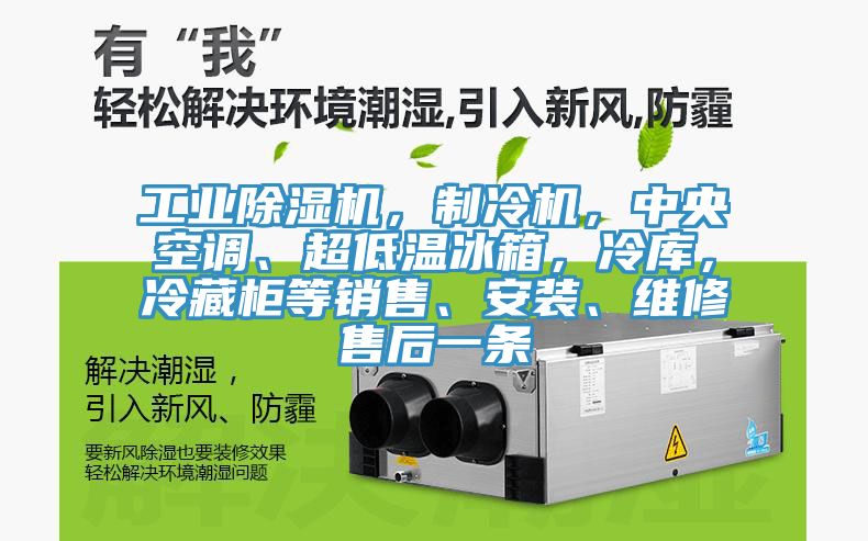 工業(yè)除濕機(jī)，制冷機(jī)，中央空調(diào)、超低溫冰箱，冷庫(kù)，冷藏柜等銷售、安裝、維修售后一條