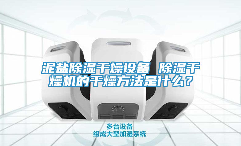 泥鹽除濕干燥設(shè)備 除濕干燥機(jī)的干燥方法是什么？