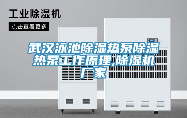 武漢泳池除濕熱泵除濕熱泵工作原理,除濕機(jī)廠(chǎng)家