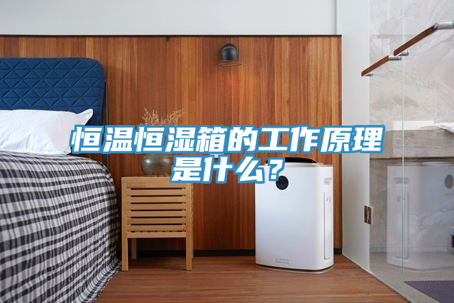 恒溫恒濕箱的工作原理是什么？