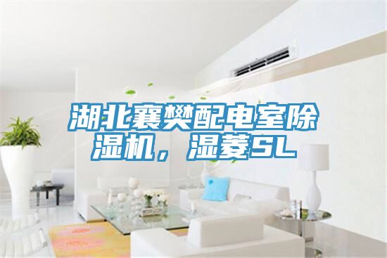 湖北襄樊配電室除濕機(jī)，濕菱SL