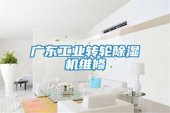 廣東工業(yè)轉輪除濕機維修