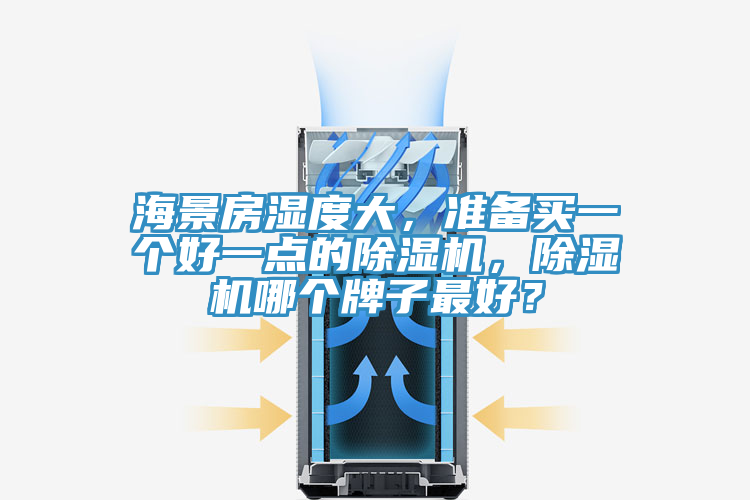 海景房濕度大，準(zhǔn)備買一個(gè)好一點(diǎn)的除濕機(jī)，除濕機(jī)哪個(gè)牌子最好？