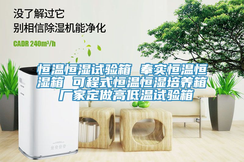 恒溫恒濕試驗(yàn)箱 奉實(shí)恒溫恒濕箱 可程式恒溫恒濕培養(yǎng)箱 廠(chǎng)家定做高低溫試驗(yàn)箱