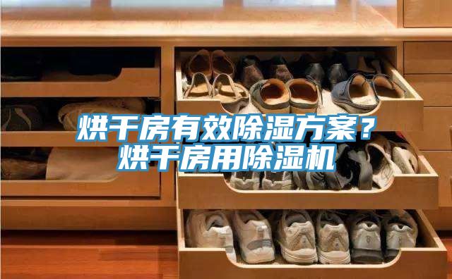 烘干房有效除濕方案？烘干房用除濕機(jī)