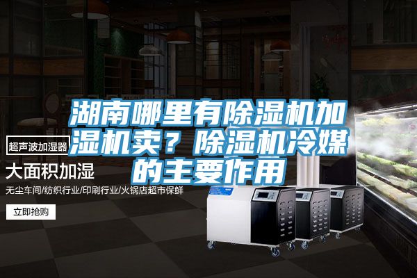 湖南哪里有除濕機(jī)加濕機(jī)賣(mài)？除濕機(jī)冷媒的主要作用