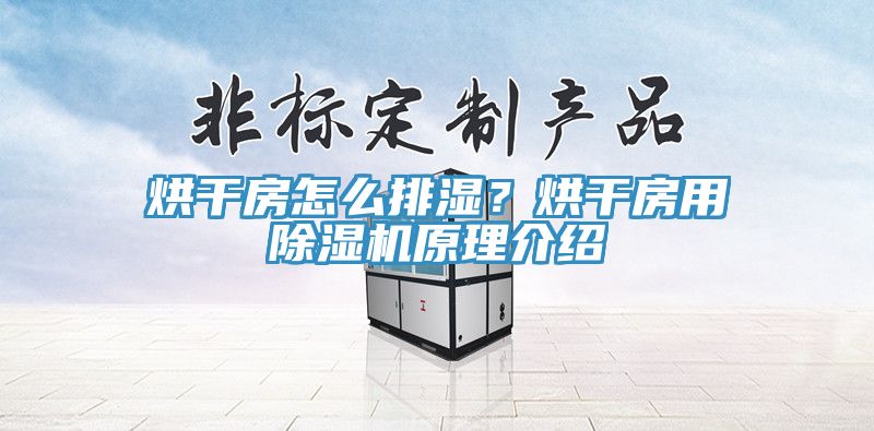 烘干房怎么排濕？烘干房用除濕機(jī)原理介紹