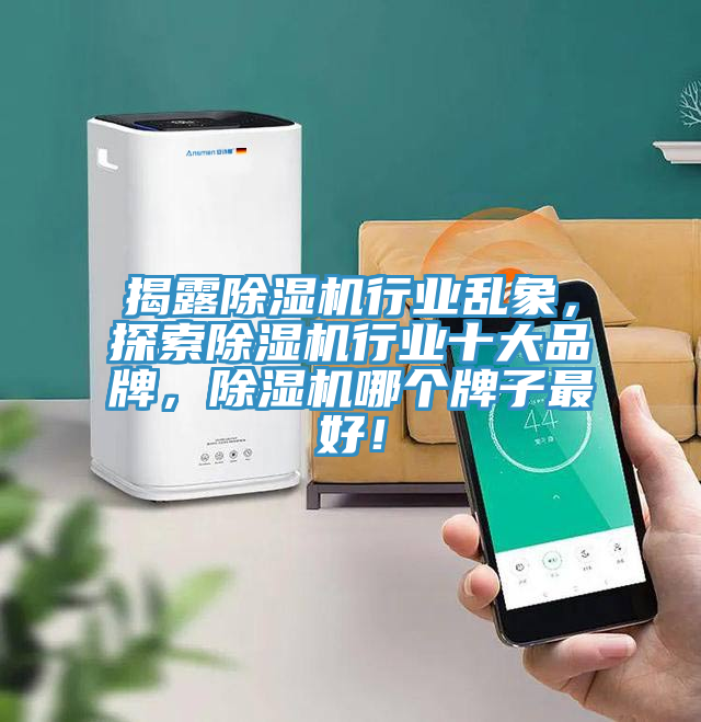 揭露除濕機(jī)行業(yè)亂象，探索除濕機(jī)行業(yè)十大品牌，除濕機(jī)哪個(gè)牌子最好！