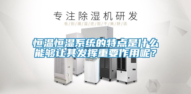 恒溫恒濕系統(tǒng)的特點(diǎn)是什么能夠讓其發(fā)揮重要作用呢？