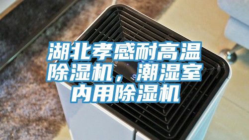湖北孝感耐高溫除濕機(jī)，潮濕室內(nèi)用除濕機(jī)