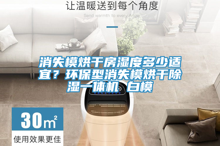 消失模烘干房濕度多少適宜？環(huán)保型消失模烘干除濕一體機(jī) 白模