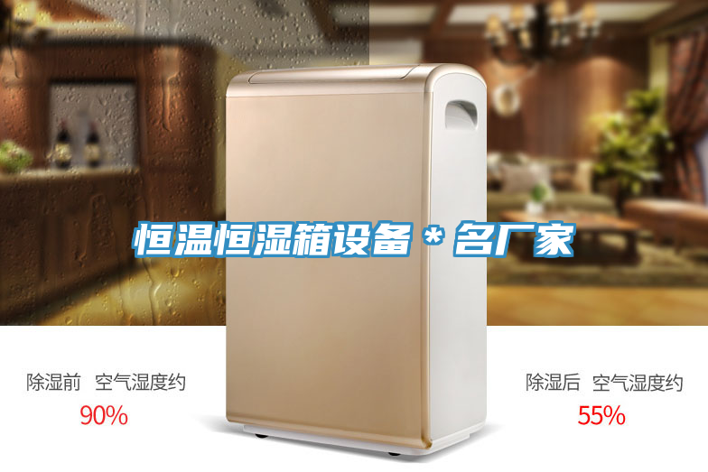 恒溫恒濕箱設(shè)備＊名廠(chǎng)家