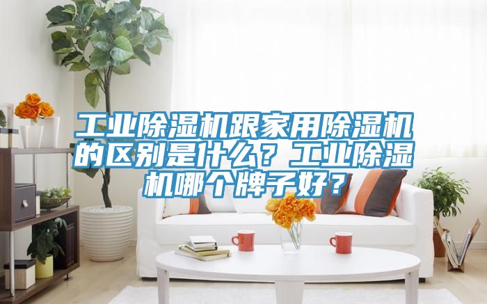 工業(yè)除濕機(jī)跟家用除濕機(jī)的區(qū)別是什么？工業(yè)除濕機(jī)哪個(gè)牌子好？