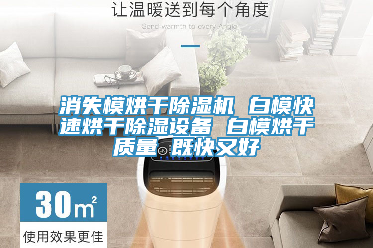 消失模烘干除濕機(jī) 白?？焖俸娓沙凉裨O(shè)備 白模烘干質(zhì)量 既快又好