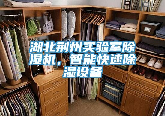 湖北荊州實(shí)驗(yàn)室除濕機(jī)，智能快速除濕設(shè)備