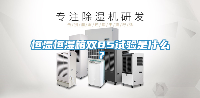 恒溫恒濕箱雙85試驗(yàn)是什么？
