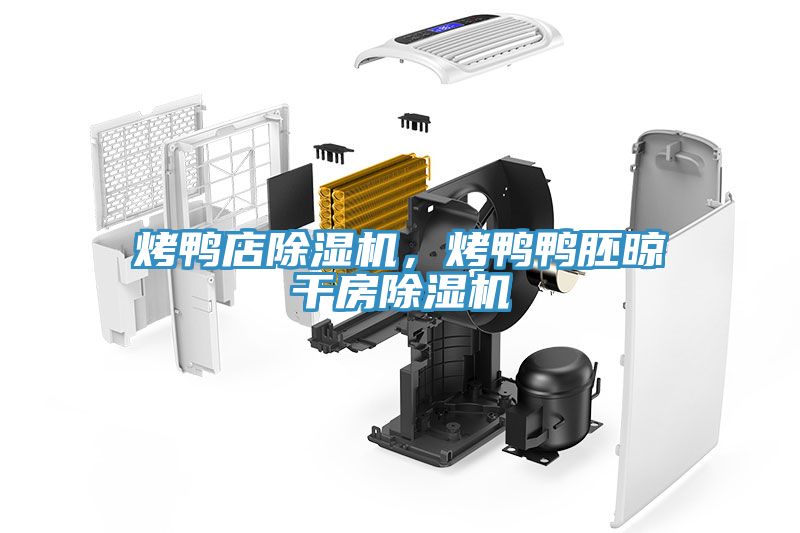 烤鴨店除濕機(jī)，烤鴨鴨胚晾干房除濕機(jī)