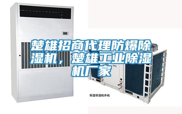 楚雄招商代理防爆除濕機(jī)，楚雄工業(yè)除濕機(jī)廠家