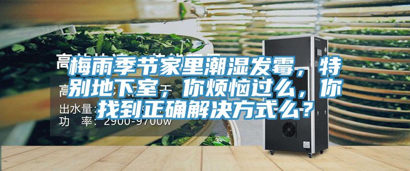 梅雨季節(jié)家里潮濕發(fā)霉，特別地下室，你煩惱過么，你找到正確解決方式么？